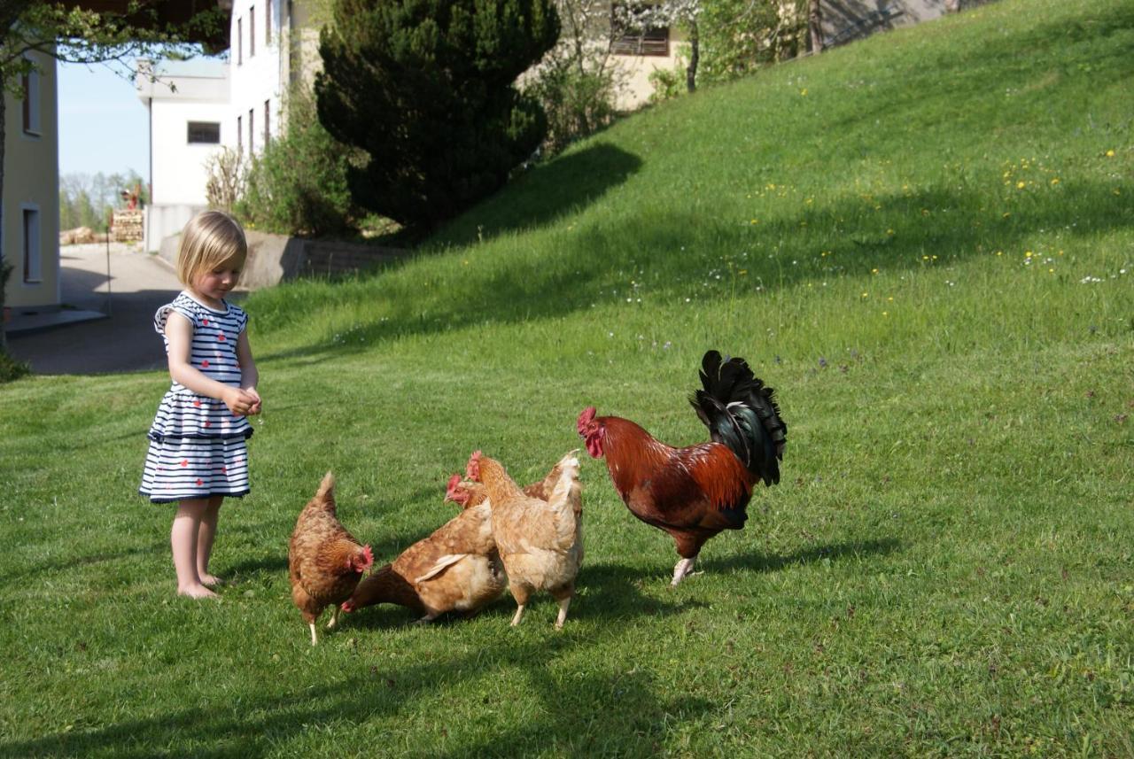 Ferienhof Edtmeier Zell am Moos Eksteriør billede