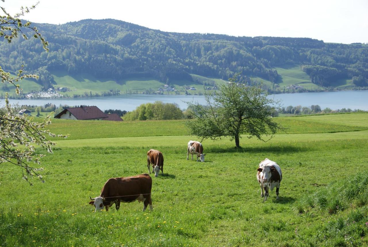 Ferienhof Edtmeier Zell am Moos Eksteriør billede